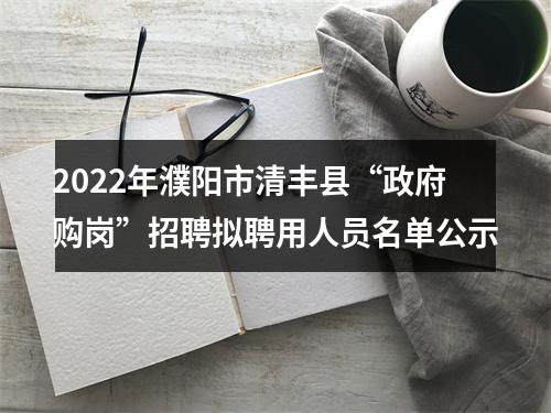 2022年濮阳市清丰县“政府购岗”招聘拟聘用人员名单公示 图片