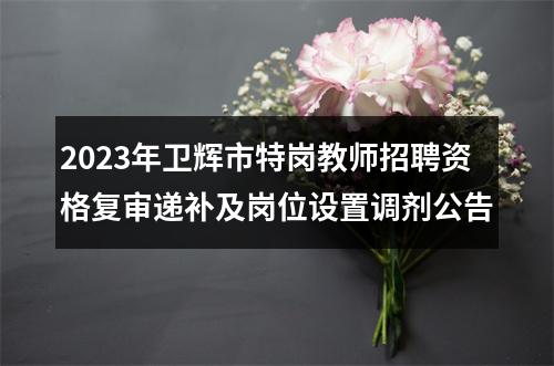 2023年卫辉市特岗教师招聘资格复审递补及岗位设置调剂公告 图片