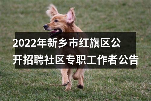 2022年新乡市红旗区公开招聘社区专职工作者公告 图片