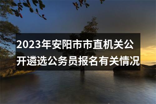 2023年安阳市市直机关公开遴选公务员报名有关情况 图片