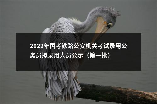 2022年国考铁路公安机关考试录用公务员拟录用人员公示（第一批） 图片
