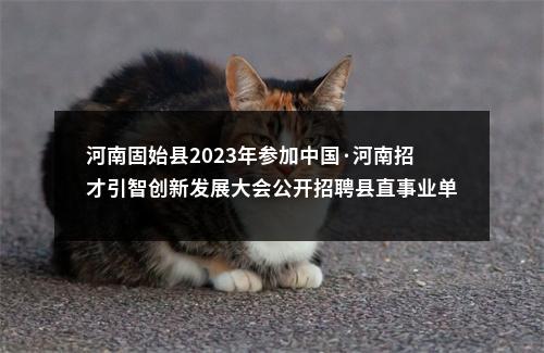 河南固始县2023年参加中国·河南招才引智创新发展大会公开招聘县直事业单位79人 图片