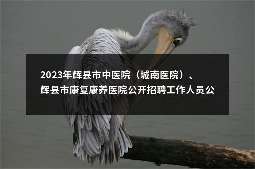 2023年辉县市中医院（城南医院）、辉县市康复康养医院公开招聘工作人员公告（三） 图片