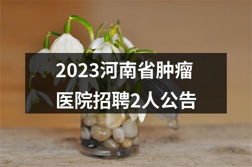 2023河南省肿瘤医院招聘2人公告 图片