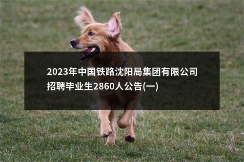 2023年中国铁路沈阳局集团有限公司招聘毕业生2860人公告(一) 图片